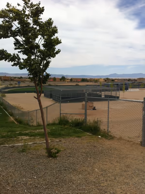 Dog Park at Tower Pond Park